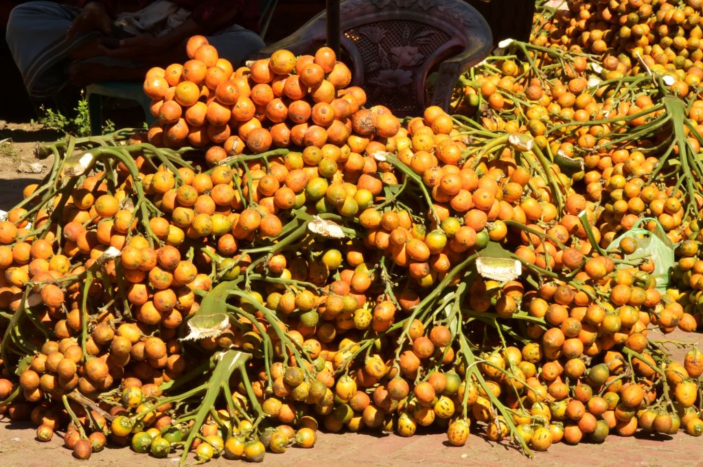 Betel nuts have been giving people a buzz for over 4,000 years - Ars  Technica