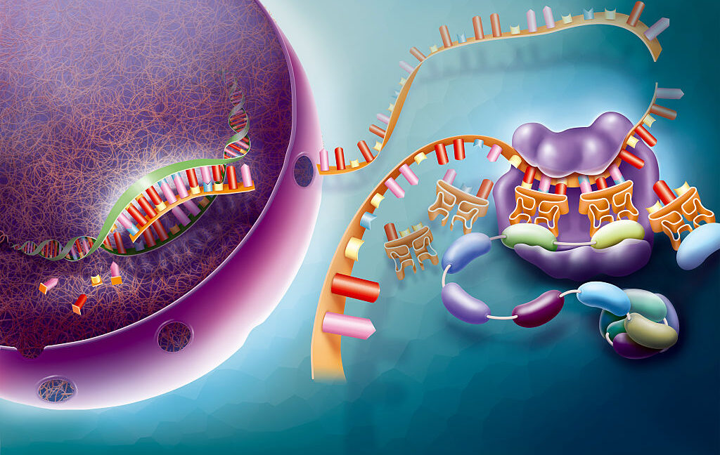 Some AI tools don’t understand biology yet