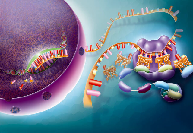 Some AI tools don’t understand biology yet
