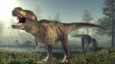 New Insights Challenge Our Understanding of Dinosaur Bite Forces