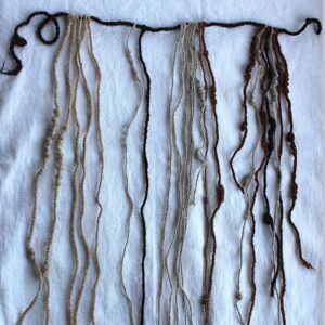 photo of a dark horizonal cord with multicolored knotted threads hanging from it