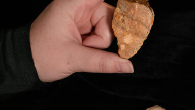 Ancient Stone Tools Unveil New Insights into Hominin Migration in Indonesia