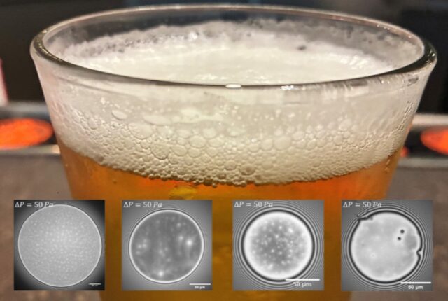 Scientists unlock secret to thick, stable beer foams