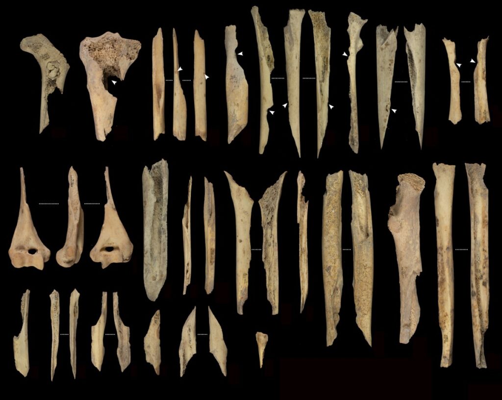 Os fragmentés et cannibalisés