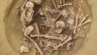 Gruesome Insights into Neolithic Warfare: Trophy Taking and Brutality Revealed