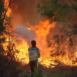 Image of a lone person with a hose, standing before a wall of flame.