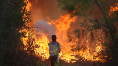Confronting the Crisis: Scientists Unite Against Misinformation and Climate Challenges