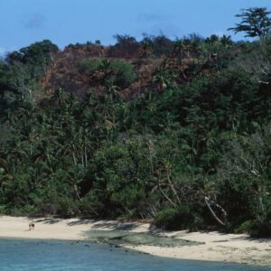 A white sandy beach with a tropical forest looming over it. Two humans are walking on the beach, and their small apparent size gives a sense of the scale of the forest.