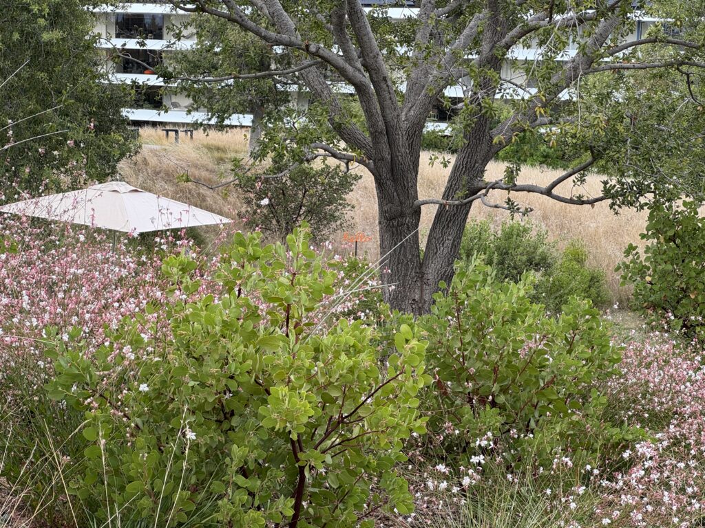 IMG_5874-1024x768.jpeg