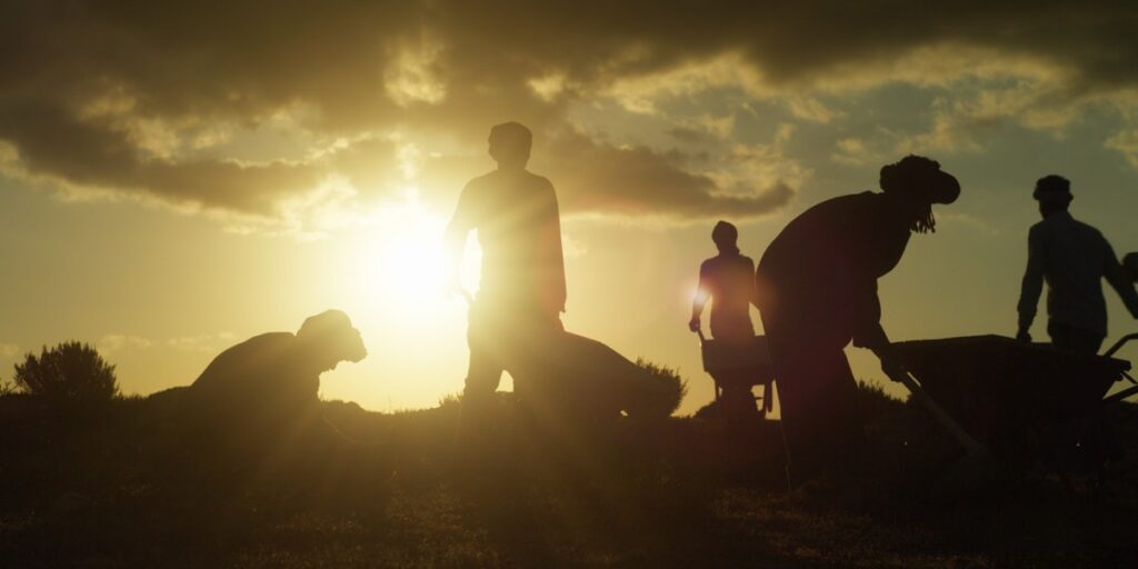 Excavators at Taposiris Magna work in silhouette against a rising sun