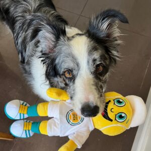 Harvey would like to play