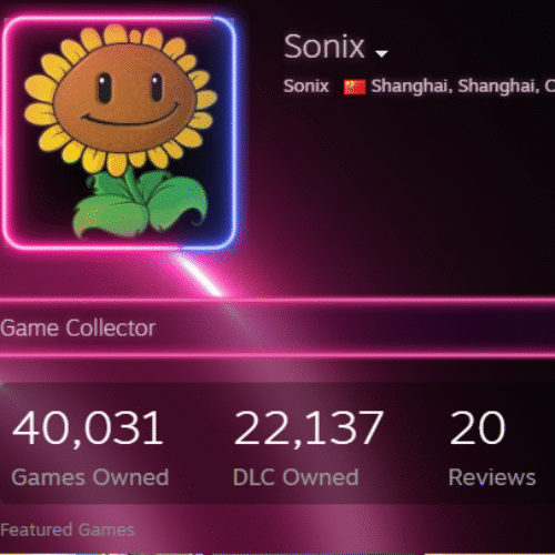 Meet the first person to own over 40,000 paid Steam games