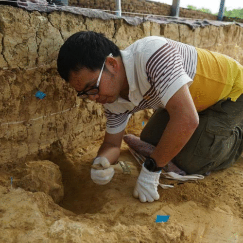 "Million-year-old" fossil skulls from China are far older—and not Denisovans