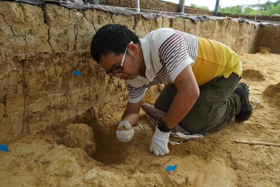 an archaeologist kneels in front of a partially buried skull