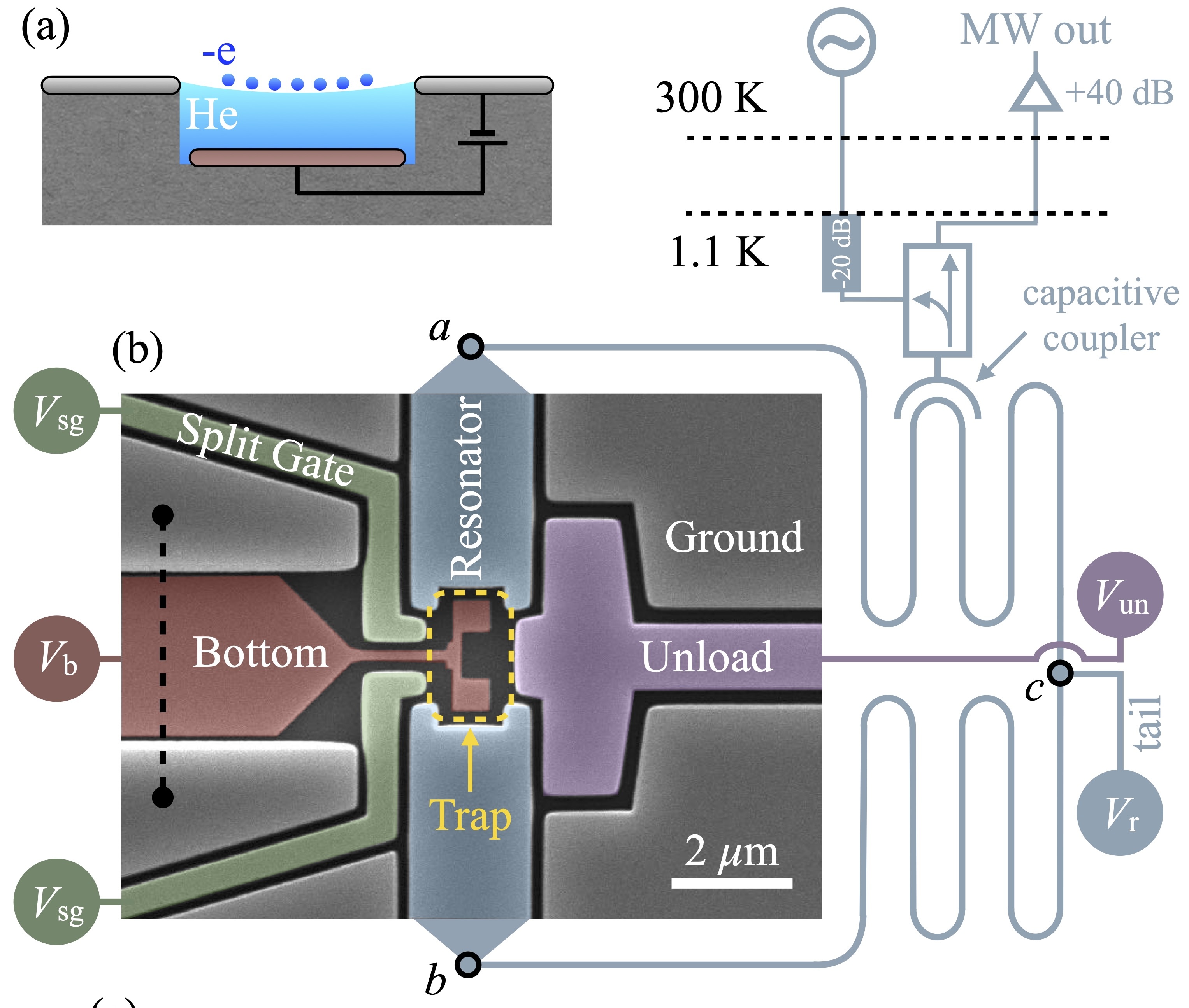 Diagrams of a chip showing channels and electrodes, along with an image of the chip itself.