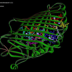 image of a barrel formed by criss-crossing green strands, each representing the path taken by a string of amino acids.