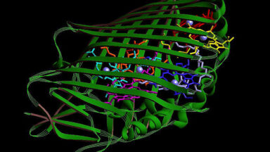 New Biological Threats: The Hidden Risks of AI-Designed Proteins