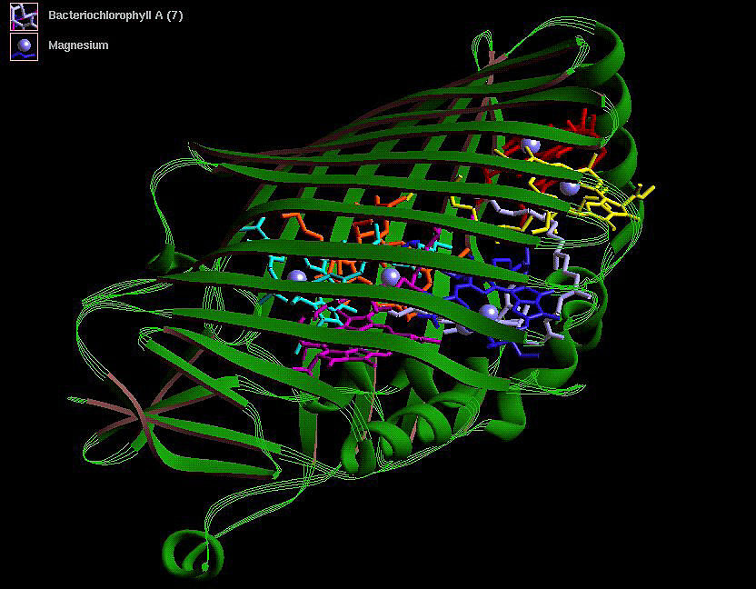 Chinese Researchers Build Pinal, Turning Text Prompts Into Working Proteins