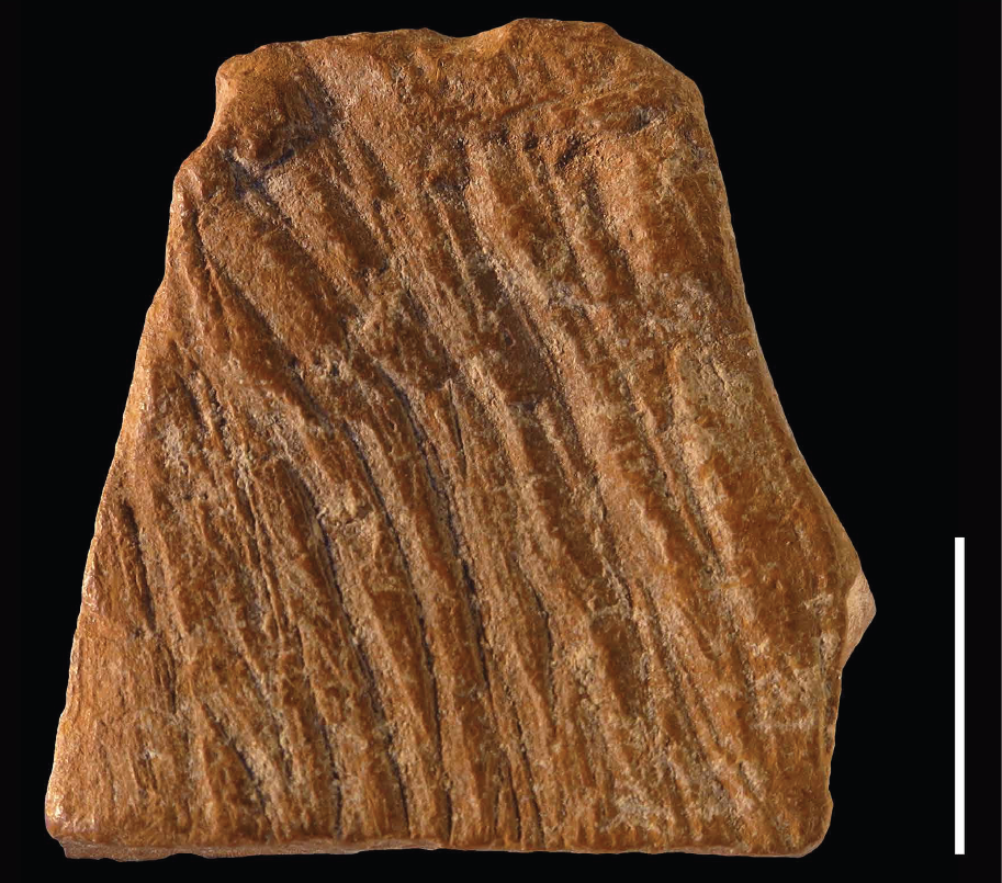 Image of a reddish-brown rock with a series of lines carved in its surface