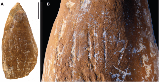 Wear marks suggest Neanderthals made ocher crayons