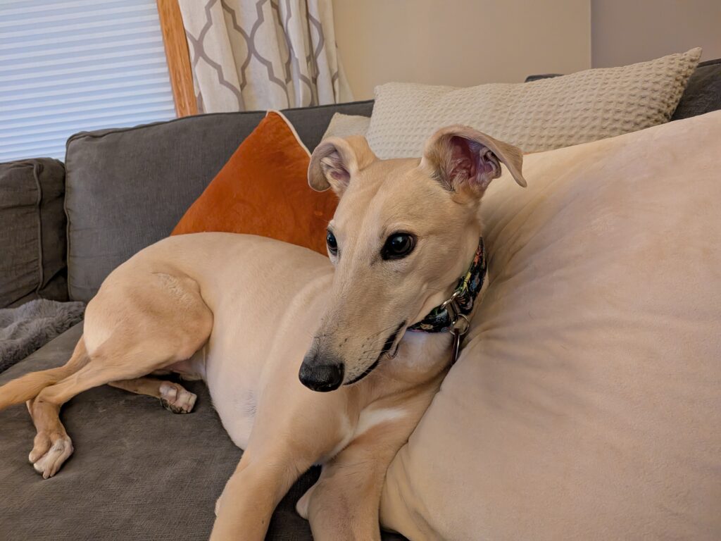 Pixel 10 Pro Fold primary indoor