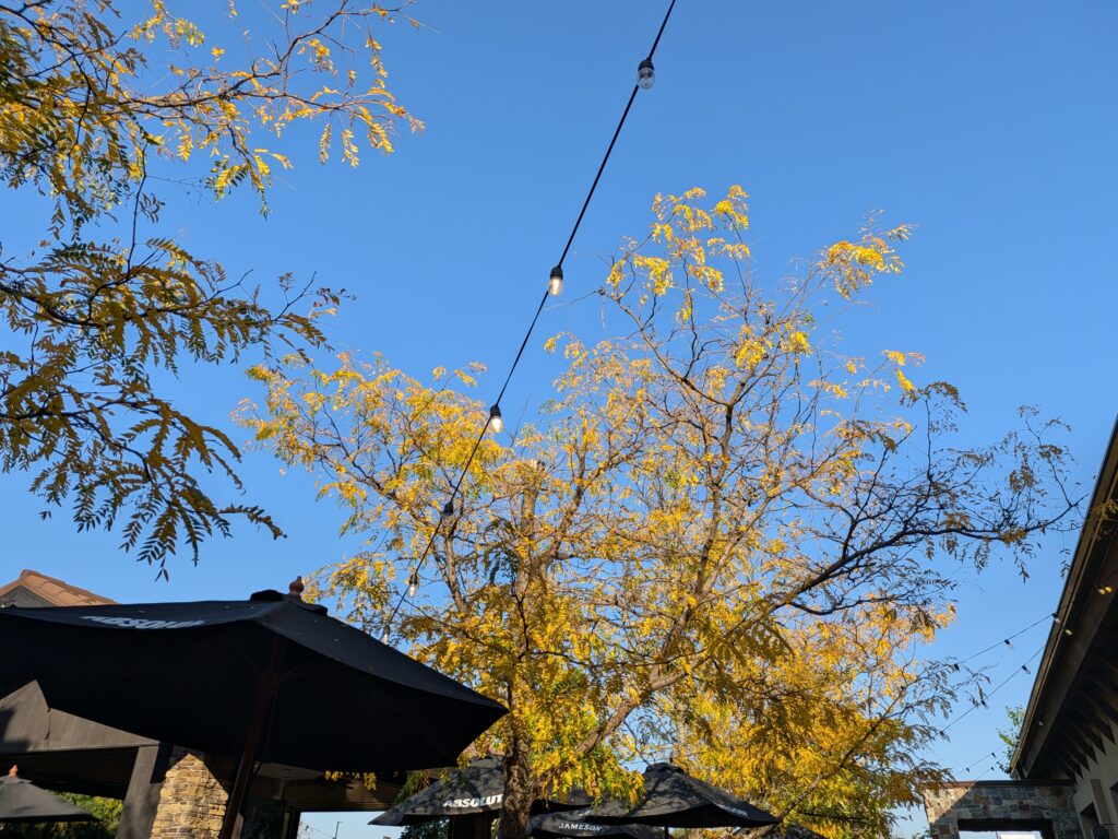 Pixel 10 Pro Fold primary outdoors