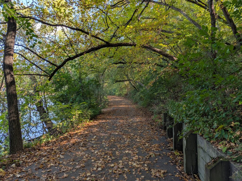 Pixel 10 Pro Fold trail