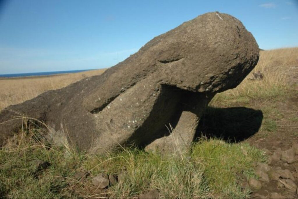 Example of a road moai that fell and was abandoned after an attempt to re-erect it by excavating under its base, leaving it partially buried at an angle.