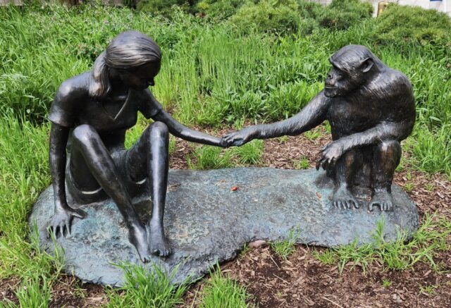 A sculpture of Jane Goodall and David Greybeard outside the Field Museum of Natural History in Chicago