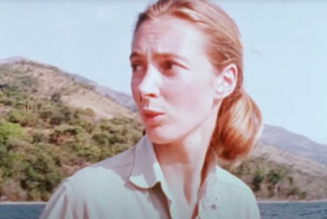 A young Jane Goodall in the field.