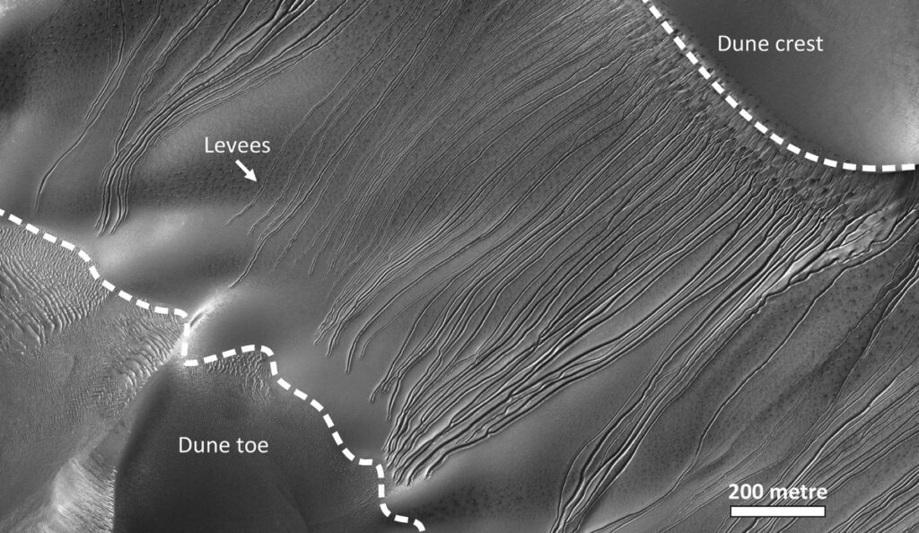 Mars dune with gullies in the Russell crater. On their way down, the ice blocks threw up levees.