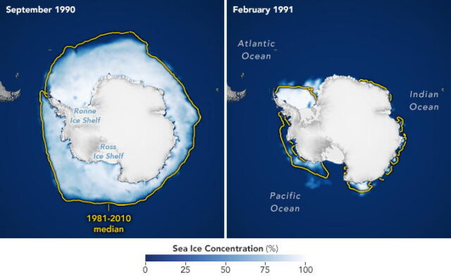 Satellite view of ice cap coverage