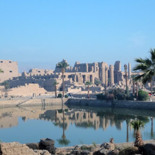 Research roundup: 6 cool science stories we almost missed