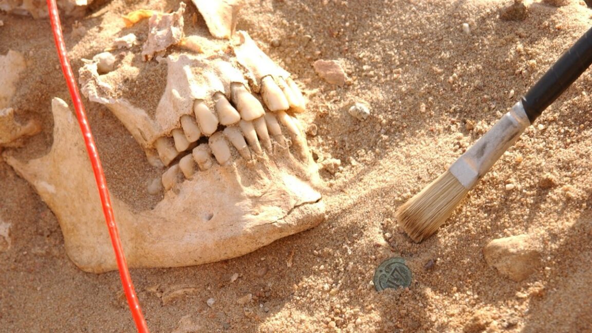 DNA analysis reveals likely pathogens that killed Napoleon’s army