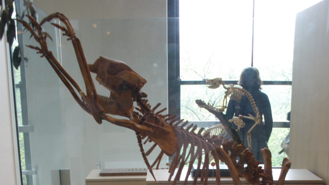 The first people to set foot in Australia were fossil hunters