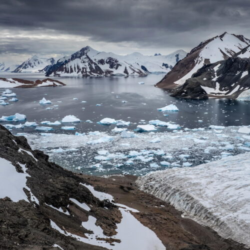 News Feed 356 Antarctica is starting to look a lot like Greenland—and that isn’t good