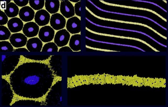 なぜ不完全さが自然の浄化形態になり得るのか なぜ不完全さが自然の浄化形態になり得るのか