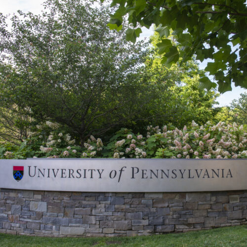 Musk and Trump both went to Penn—now hacked by someone sympathetic to their cause