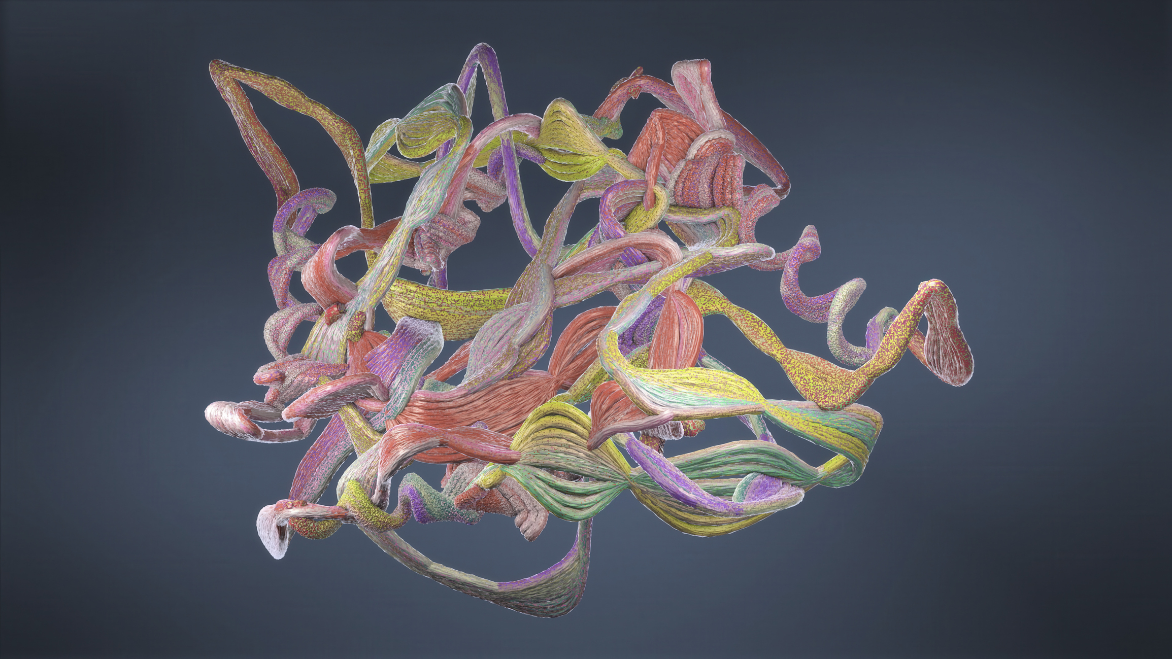 蛋白质结构示意图