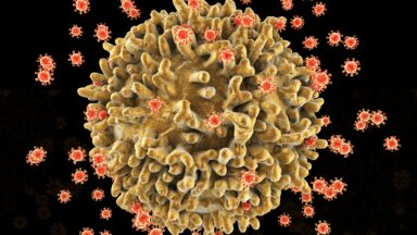 Hope on the Horizon: Breakthroughs in HIV Treatment Offer Glimmer of a Functional Cure