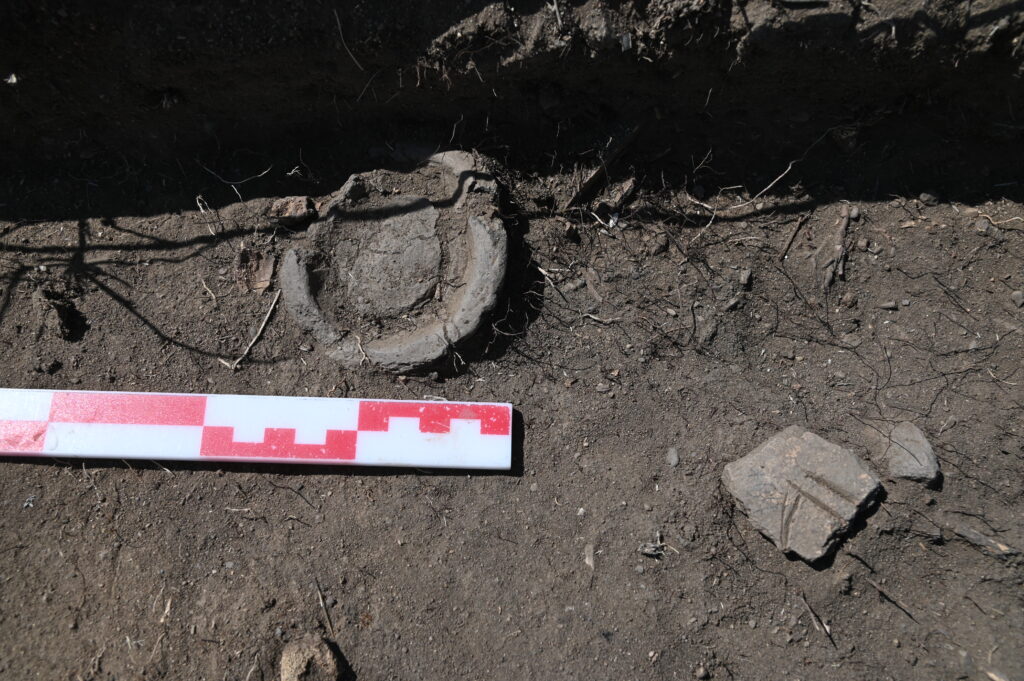 photo of a round, bowl-like artifact lying in the dirt