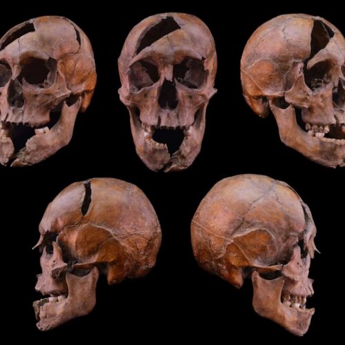 Research roundup: 6 cool stories we almost missed