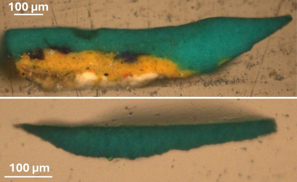 Photomicrographs of paint fragments taken from two altered emerald green sections of Intrigue.