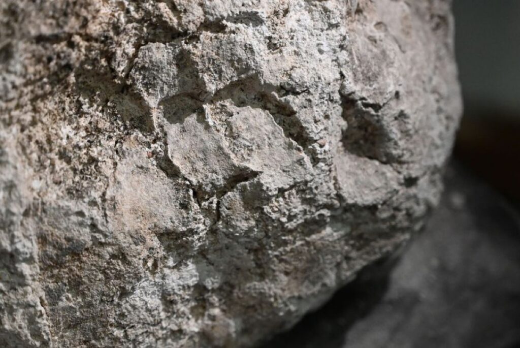 The impression of fingers preserved in the gypsum surface.