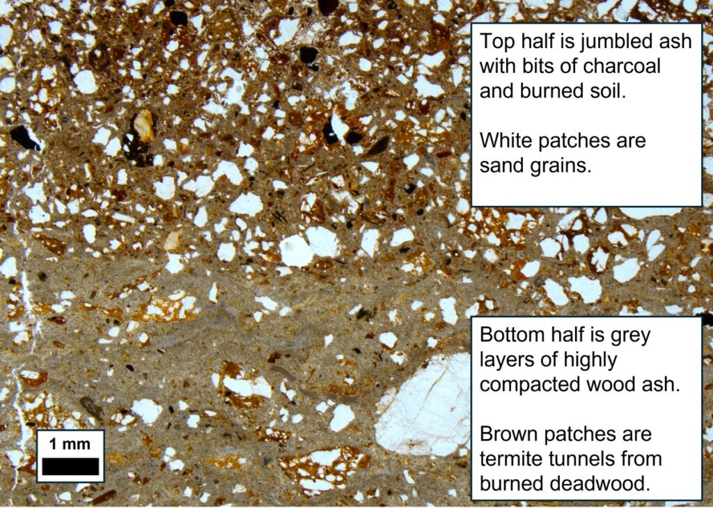 Microscopic ash layers