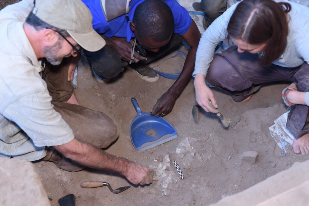 archaeologists kneel at the site while recovering cremated human remains