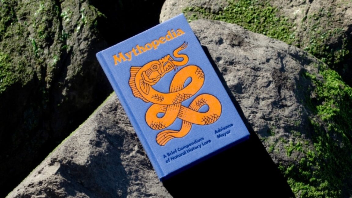 cdn.arstechnica.net image