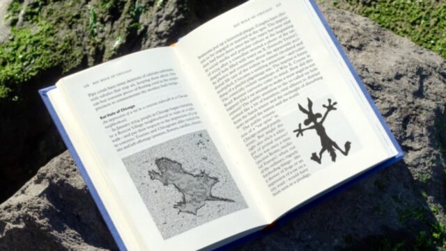 book opened to a particular page, lying on a moss covered rock