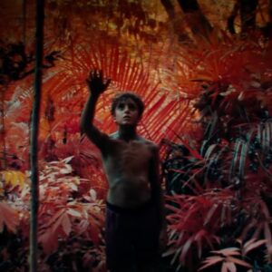 young barechested boy in a forest lit with exotic orange and red hues, holding up one hand as if yo touch something only he can see