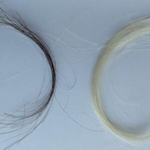 Archived hair samples from a baby (right) and adult (left).